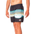 Maillot de bain Rip Curl Framed Volley Homme imprimé