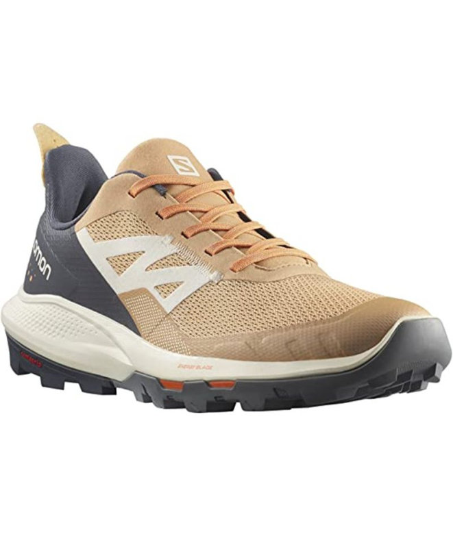 Sapatilhas de Trail Salomon Impulse Cinza Mulher