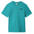Camiseta The North Face Simple Dome M Verde