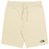 Calça curtos The North Face Stand M Bege