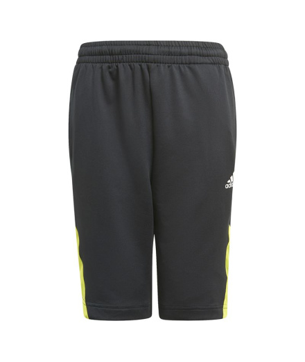 Pantalons de Trainning adidas Predator Inspiré