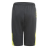 Calça de Trainning adidas Predator Inspired