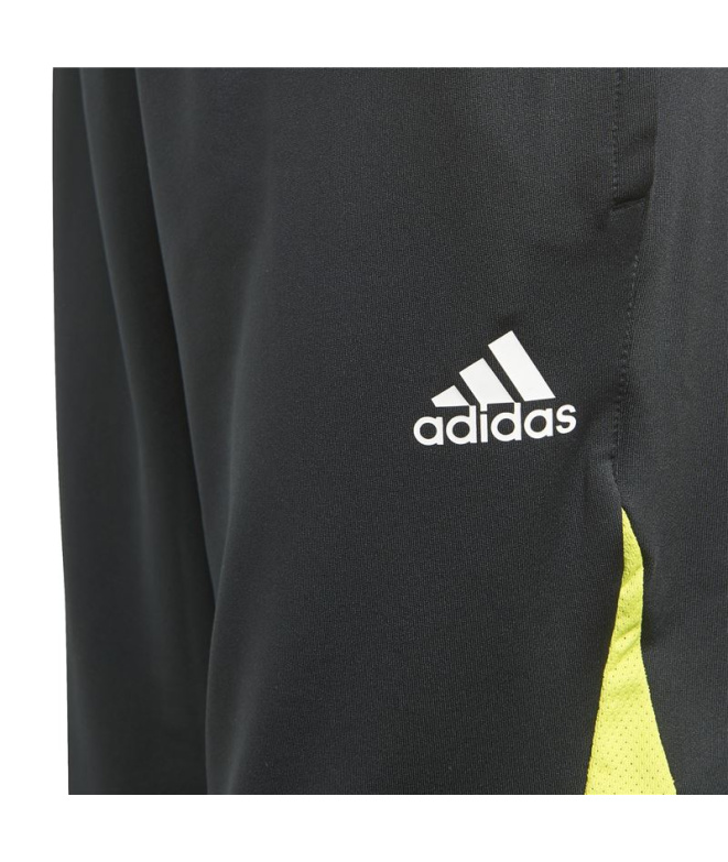 Calça de Trainning adidas Predator Inspired