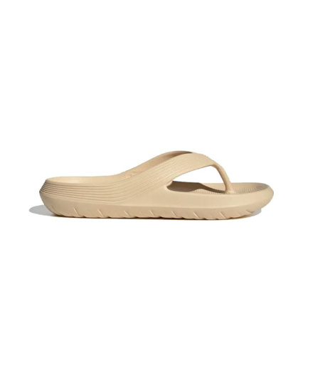 Chanclas de Natación adidas Adicane Beige