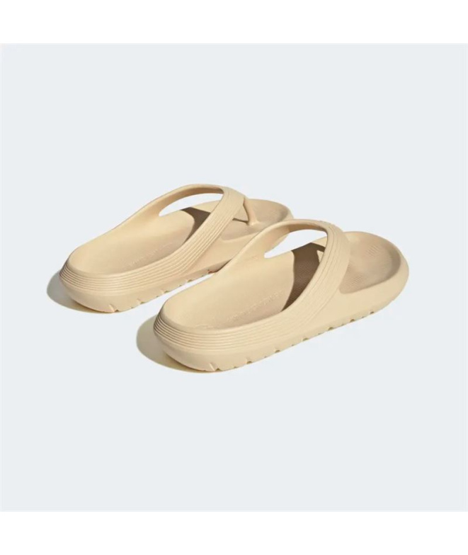 Tongs de Natation adidas Adicane Beige