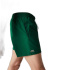 Fato de banho Lacoste Light Quick Dry Verde Homem