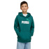 Sweat Puma Ess 2 Color Logo Enfant Esmeralda Ice