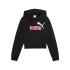 Sudadera Puma Ess 2 Color No. 1 Logo Niña Negro/Rosa