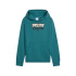 Moletom Puma MID90s Hoodie TR B Menino Esmeralda Gelo