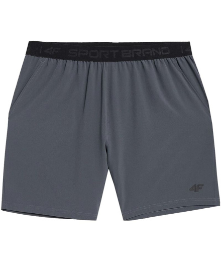 Pantalons de fitness 4F gris Homme