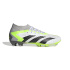 Botas de Futebol adidas Predator Accuracy.2 Fg
