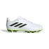 Bottes de Football adidas Copa Pure.4 Fxg Enfant