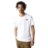 T-shirt de Montagne The North Face Redbox Celebration Blanc Homme