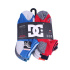 Pack de 6 Paires de Chaussettes Sportswear DC Color Block