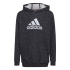 Moletom com Capuz adidas Future Badge Infantil BK
