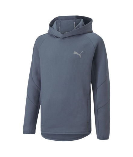 Sudadera Puma Evostripe Youth Hoodie Gris Infantil