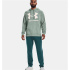 Sweat Under Armour Rival Big Logo vert Homme