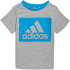 Conjunto adidas Essentials Crianças Cinza