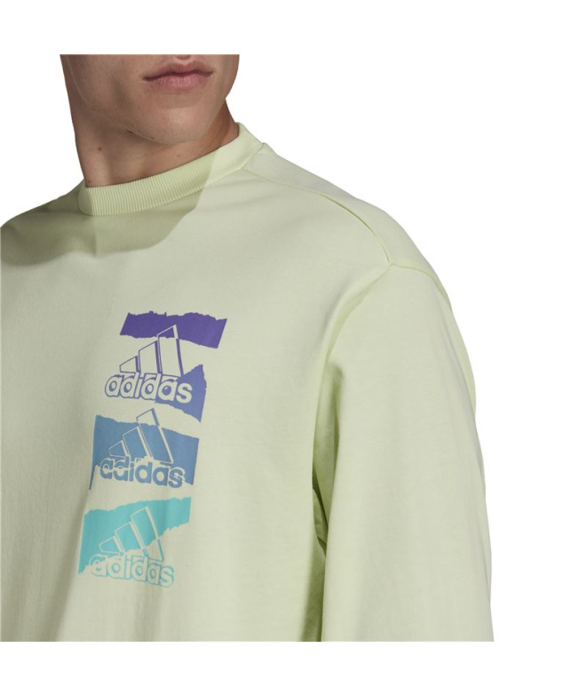 Sweat adidas Essentials Brandlove Vert