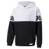 Sweat avec capuche Puma Power Colorblock Garçon Blanc