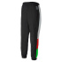 Pantalons Sportswear Puma TFS OG Track