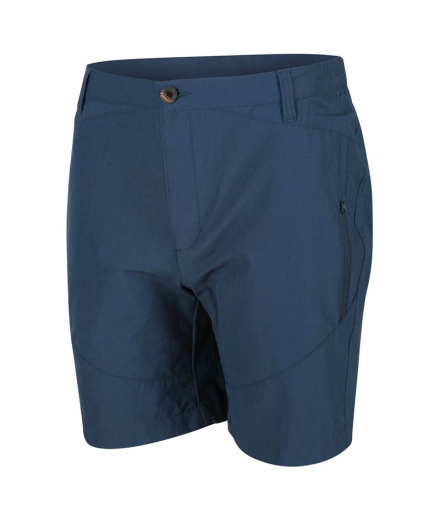 Pantalones de Montaña Regatta Regatta Highton Hombre