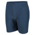Pantalons de Montagne Regatta Regatta Highton Homme