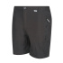 Pantalons de Trekking Regatta Highton