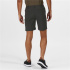 Pantalons de Trekking Regatta Highton