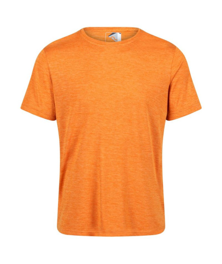 Camiseta de fitness Regatta Fingal Edition Hombre OR