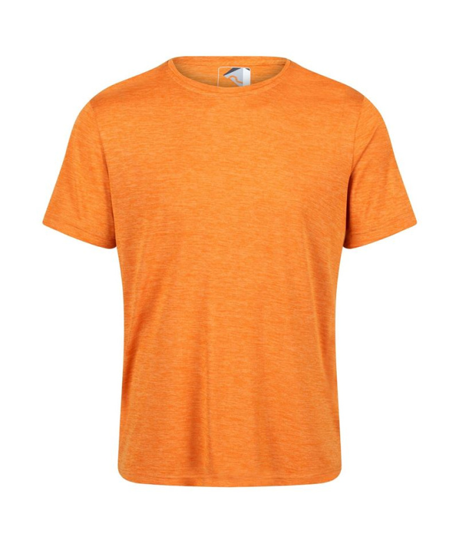 Camiseta de fitness Regatta Fingal Edition...