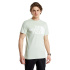 Camiseta de Montanha The North Face Basic Logo Verde Homem