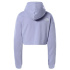 Sudadera de Montaña The North Face Logo Lila Mujer