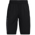Pantalons de Trainning Under Armour Prototype 2.0 Wordmark