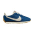 Chaussures Nike Pacific Homme Bleu/Noir/Marron/Voile