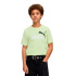 Camiseta Puma Ess 2 Color No.1 Log,Apple Spritz, Niño