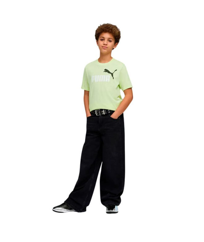 Camiseta Puma Ess 2 Color No.1 Log, Apple...