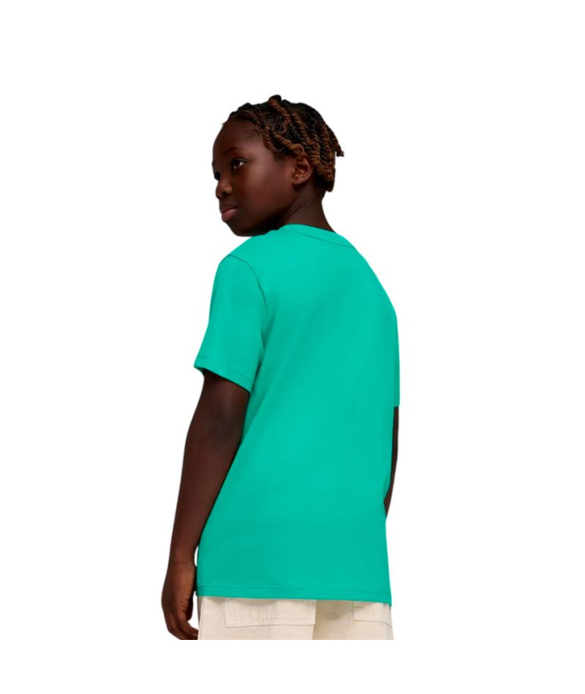 Camiseta Puma Ess 2 Color No.1 Log,Vibrant...