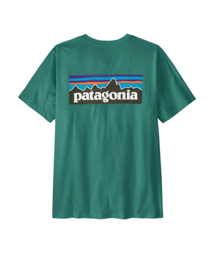 Camiseta Patagonia M'S P-6 Logo Homem Gema verde