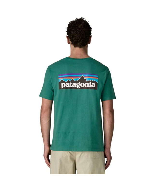 Camiseta Patagonia M'S P-6 Logo Homem Gema verde