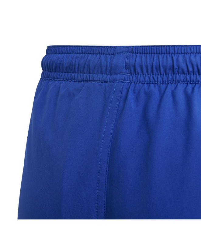 Bañador adidas Lineage