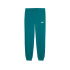 Calça Puma Ess 2 Color No.1 Log,Emerald Ice, Menino