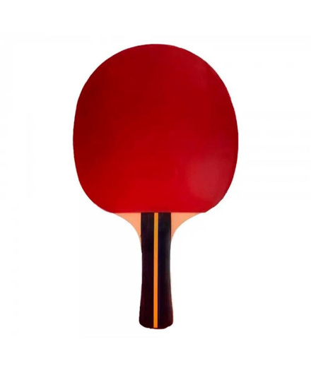 Raquette de Ping Pong Softee P200