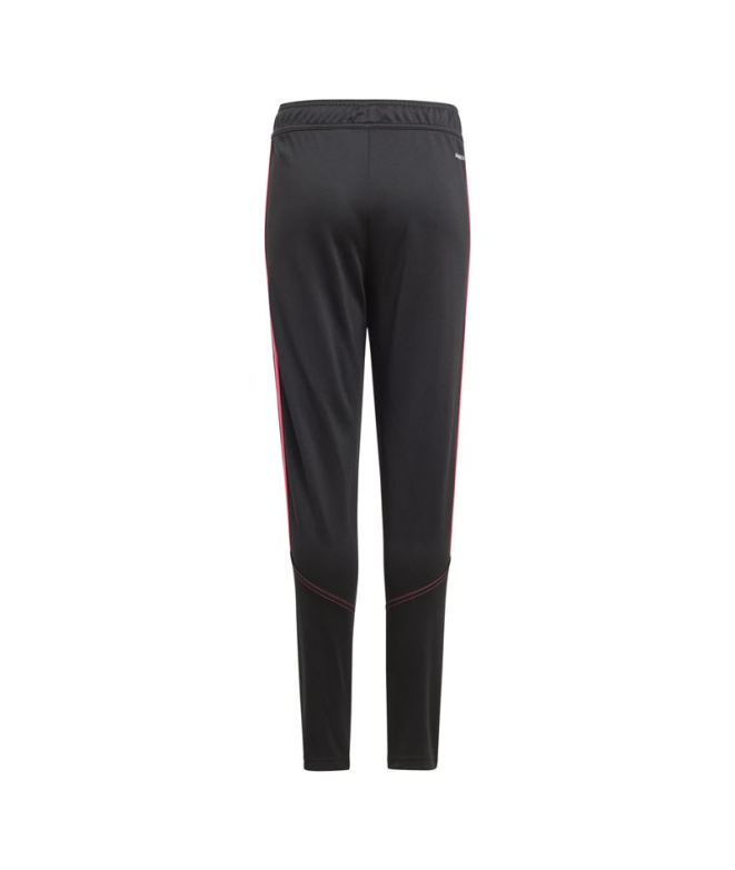 Pantalones de Fútbol adidas Tiro23 Cbtr y Infantil