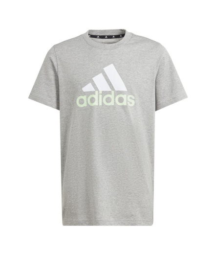 Camiseta adidas Big Logo 2 Infantil Gris