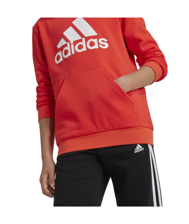 Sudadera adidas Big Logo Essentials Cotton...