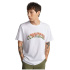 Camiseta Converse Grass Mirror Branco Homem