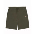 Calças Dickies Mapleton Militar Homem
