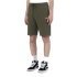 Calças Dickies Mapleton Militar Homem