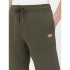 Calças Dickies Mapleton Militar Homem